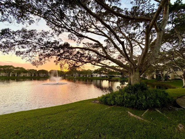 a view of a lake from a yard