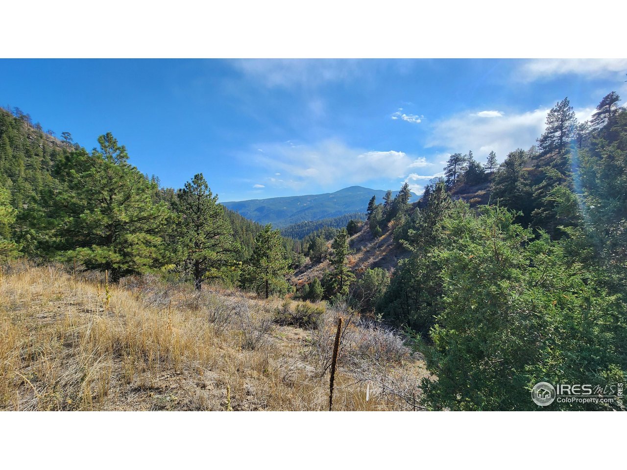 84 Copper Hill Road Drake, CO 80515 - Photo 22 of 28