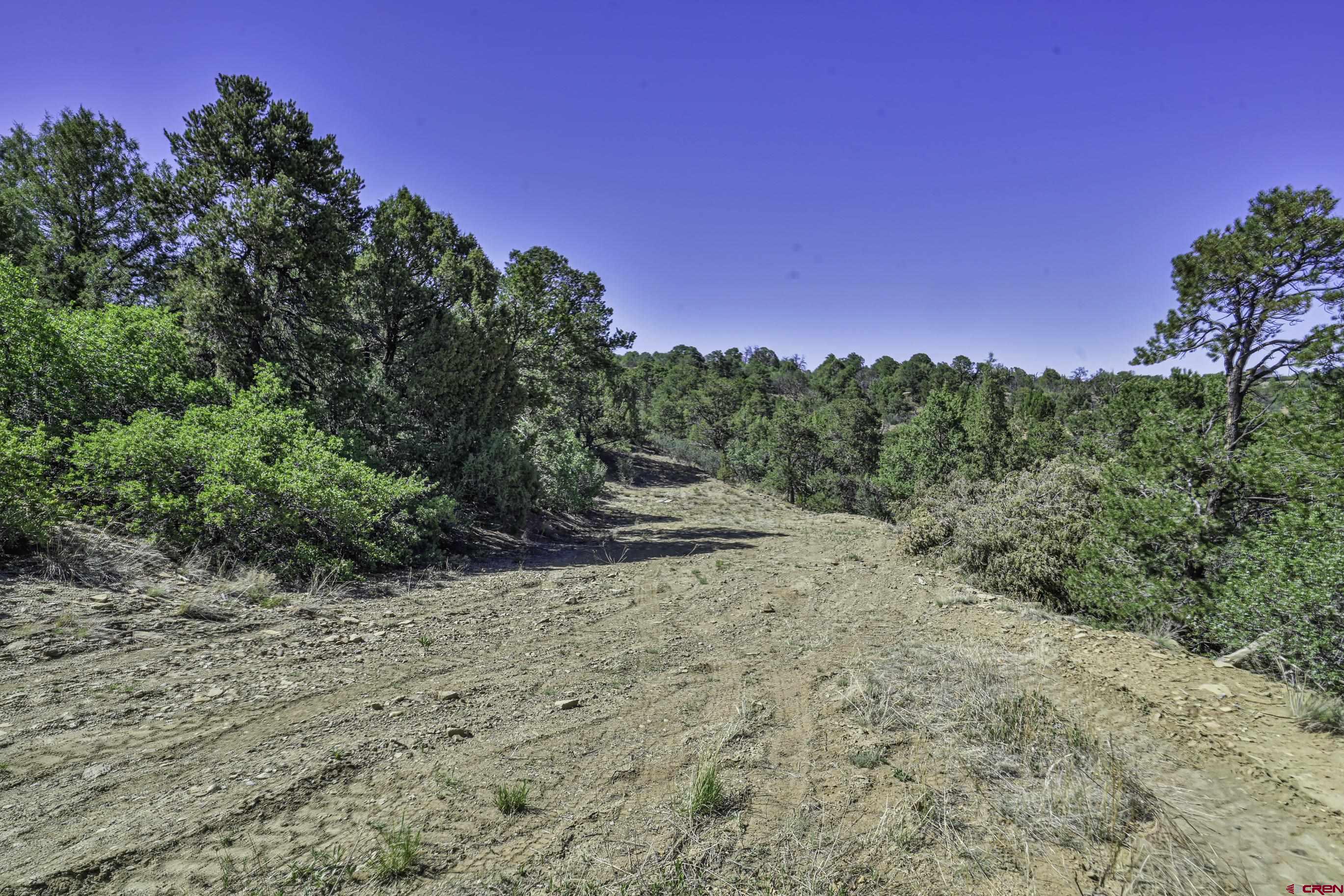 Tbd Tbd Fishers Peak Ranch Trinidad, CO 81082 - Photo 16 of 31