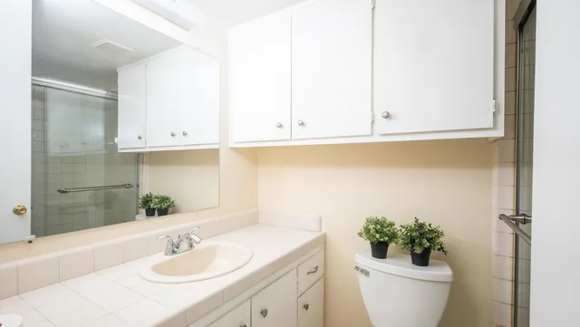 a bathroom with a sink and a mirror