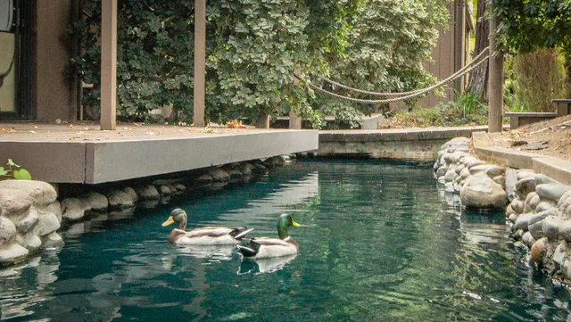 a view of a lake with a mountain