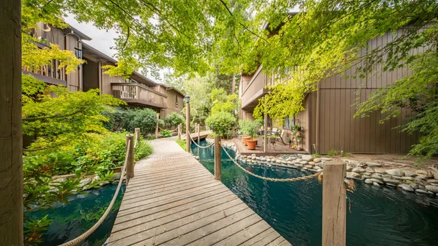 a view of a lake with plants