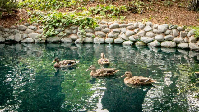a view of a porch with furniture and a door