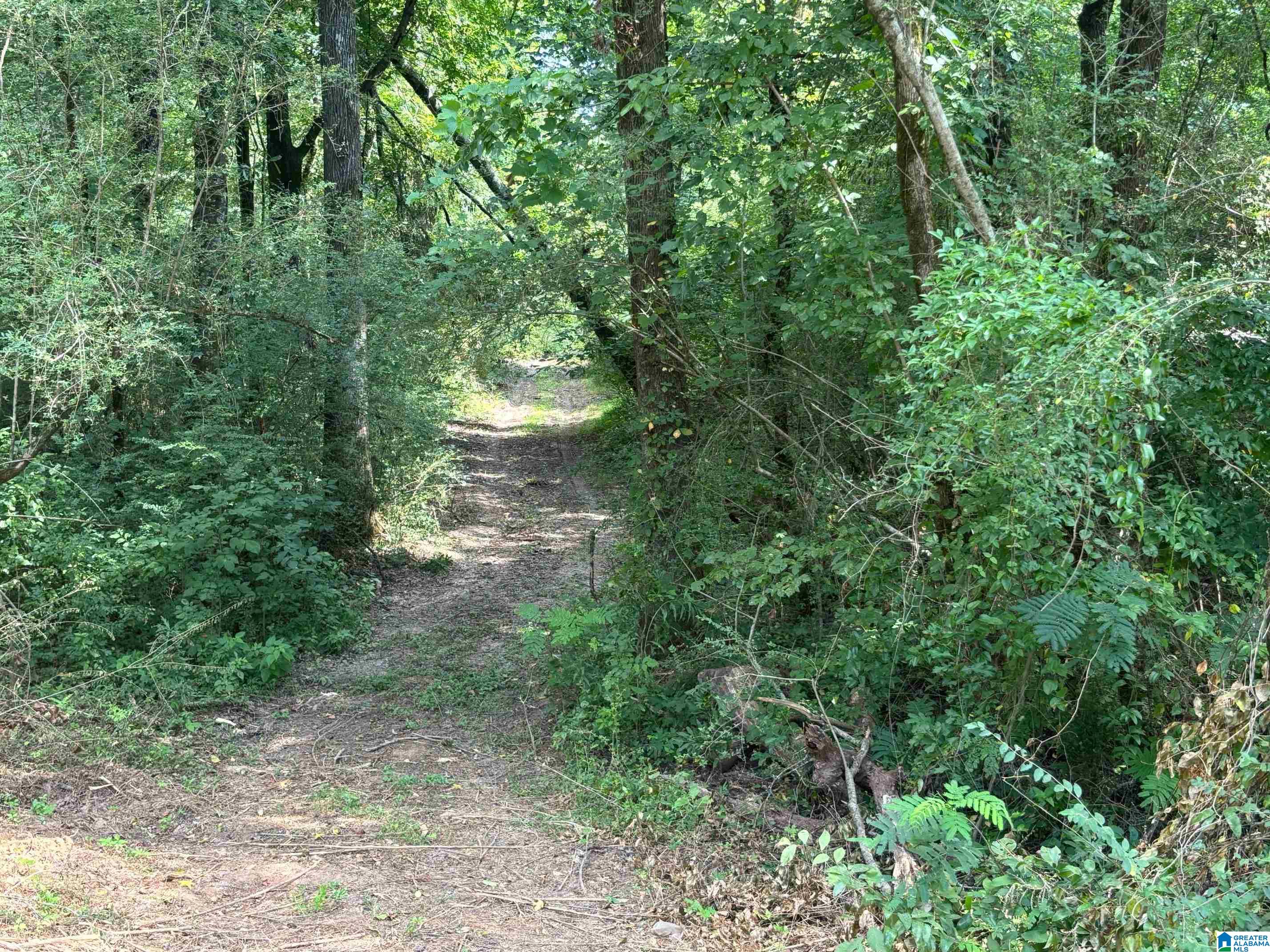 1675 Blue Eye Springs Road Lincoln, AL 35096 - Photo 4 of 60