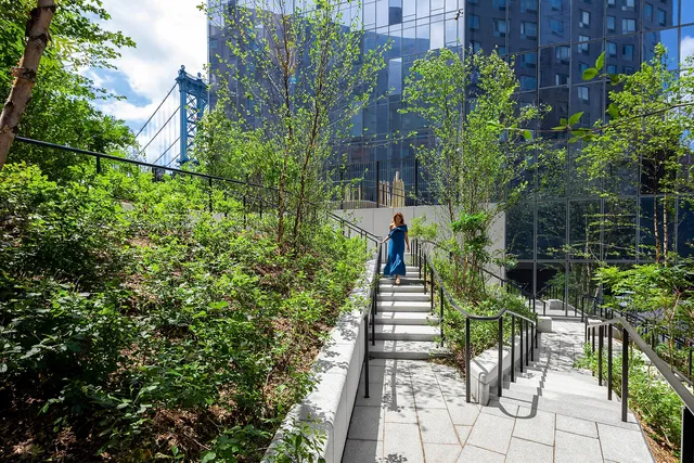 a view of a garden with pathway