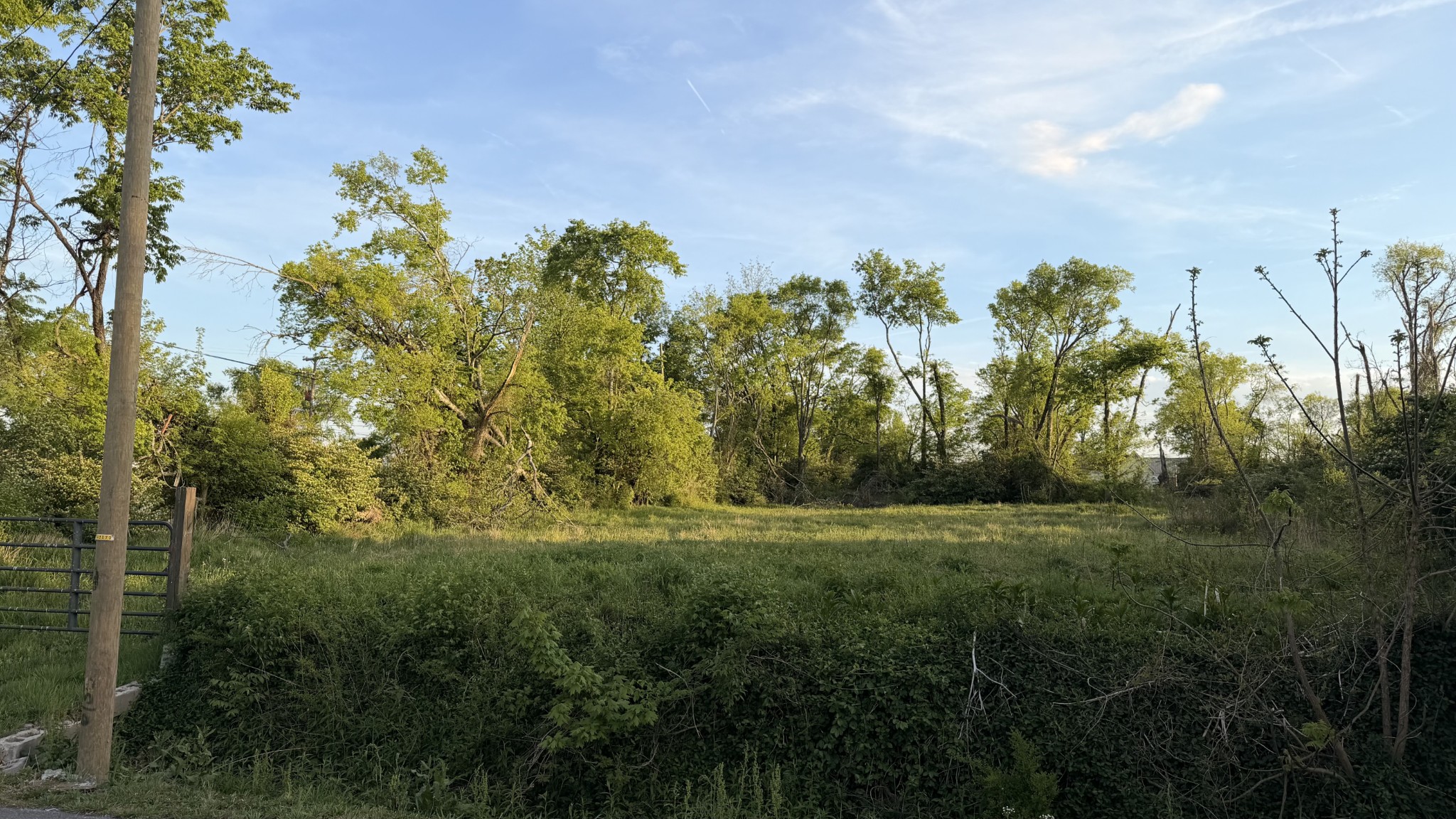 215 Old Amqui Road Madison, TN 37115 - Photo 3 of 4