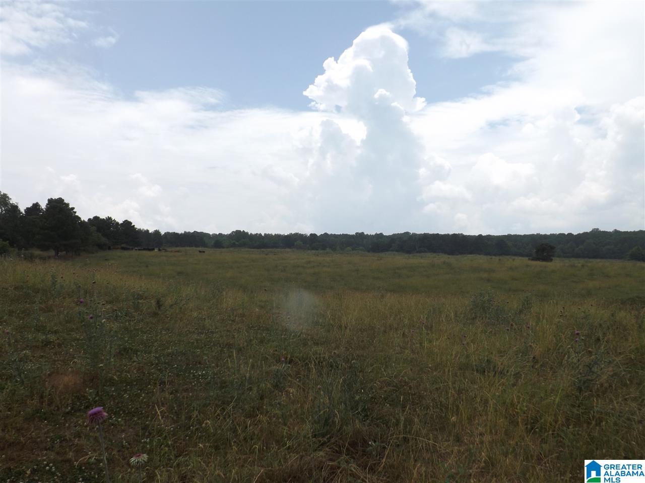 0 Highway 24 Oneonta Al Oneonta, AL 35121 - Photo 8 of 27