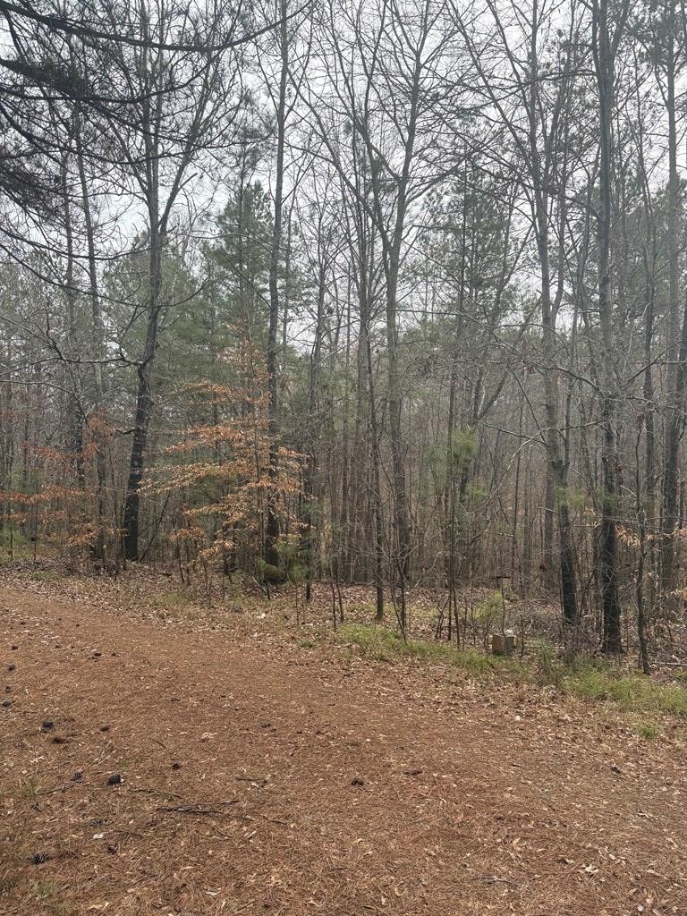 Vestas Road Gaffney, SC 29340 - Photo 3 of 3