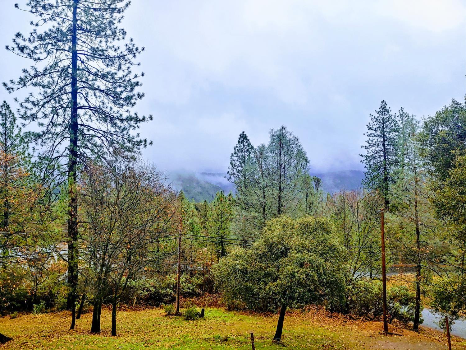 1333 Highway 174 Colfax, CA 95713 - Photo 12 of 88 a view of a yard with swimming pool and trees