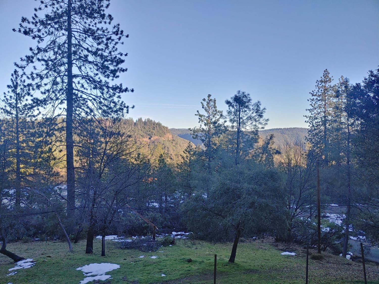 1333 Highway 174 Colfax, CA 95713 - Photo 14 of 88 a view of a yard with a tree in the background