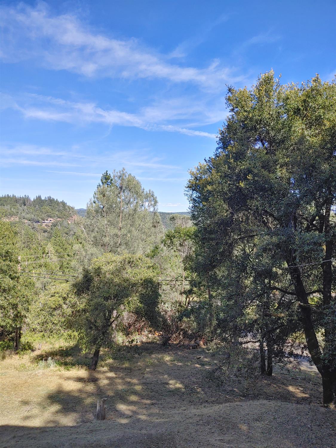 1333 Highway 174 Colfax, CA 95713 - Photo 30 of 88 view of nature