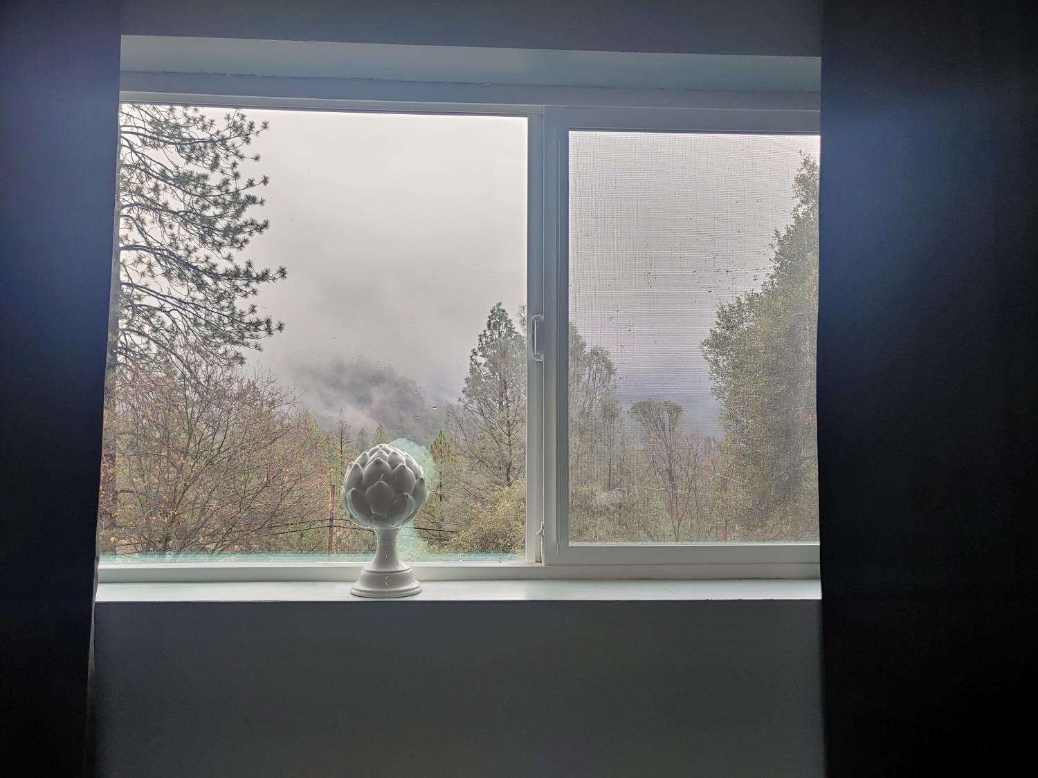 1333 Highway 174 Colfax, CA 95713 - Photo 43 of 88 a view of a window