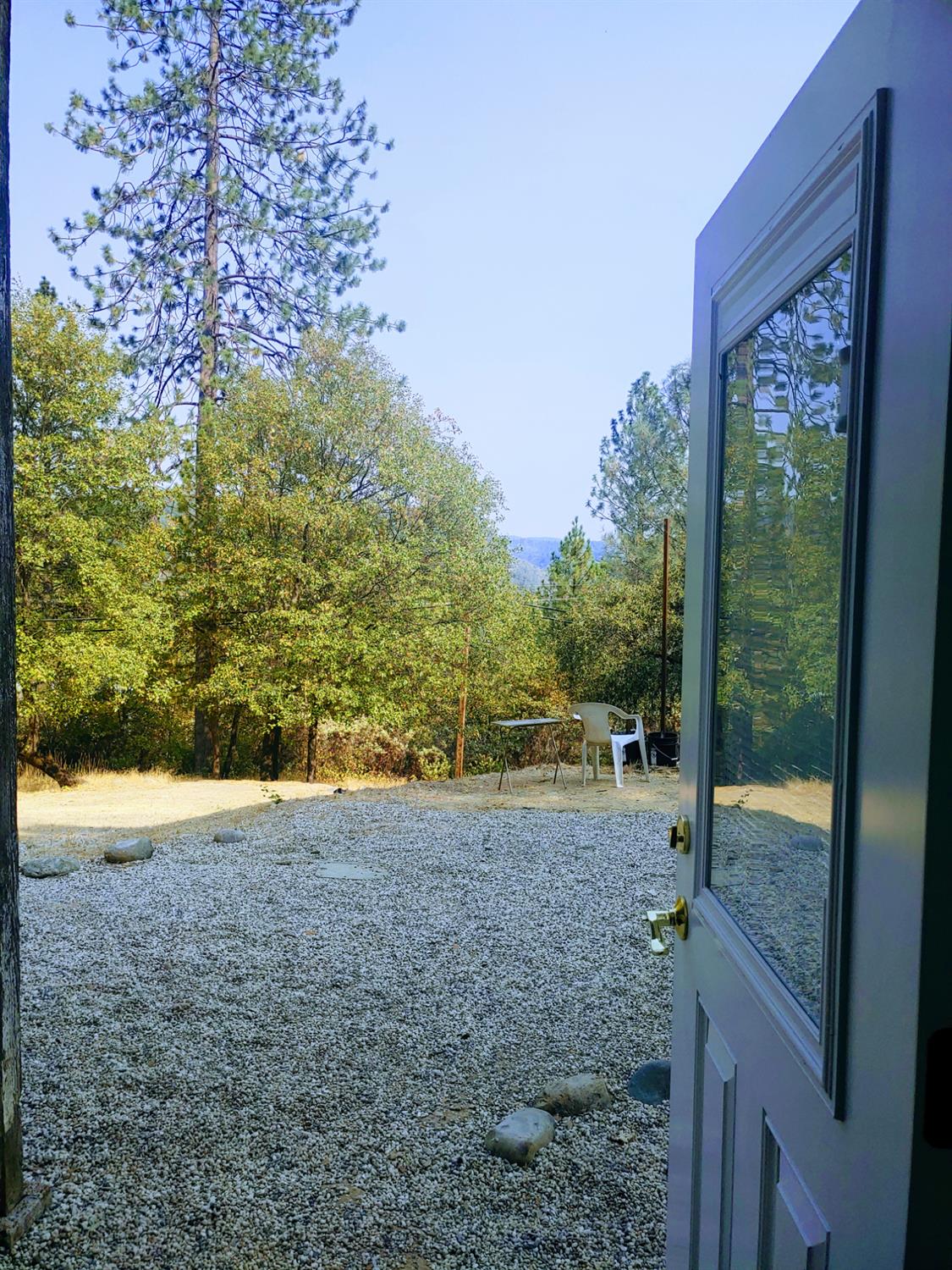 1333 Highway 174 Colfax, CA 95713 - Photo 45 of 88 a view of a yard with a tree