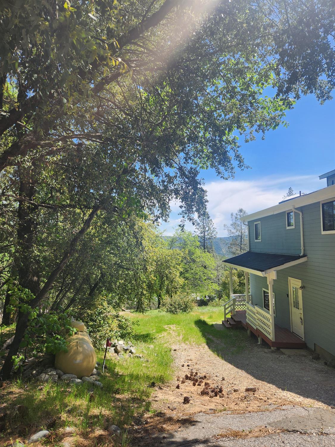 1333 Highway 174 Colfax, CA 95713 - Photo 61 of 88 a view of a back yard of the house