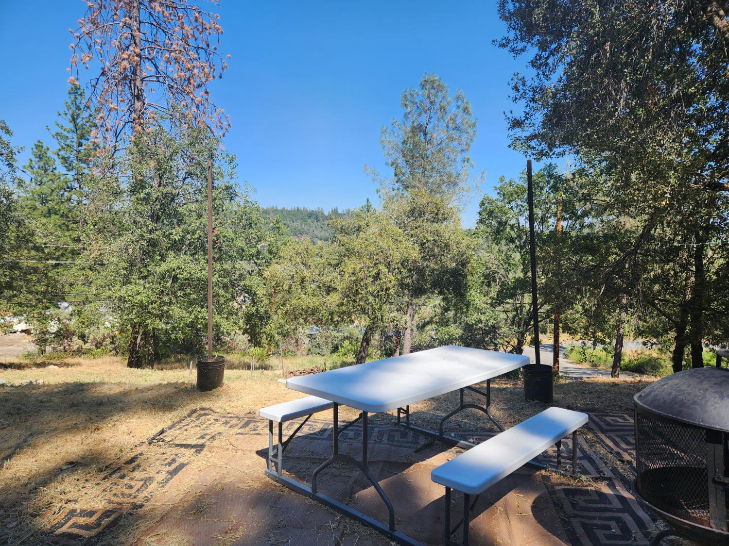 1333 Highway 174 Colfax, CA 95713 - Photo 65 of 88 a view of backyard with seating area and trees