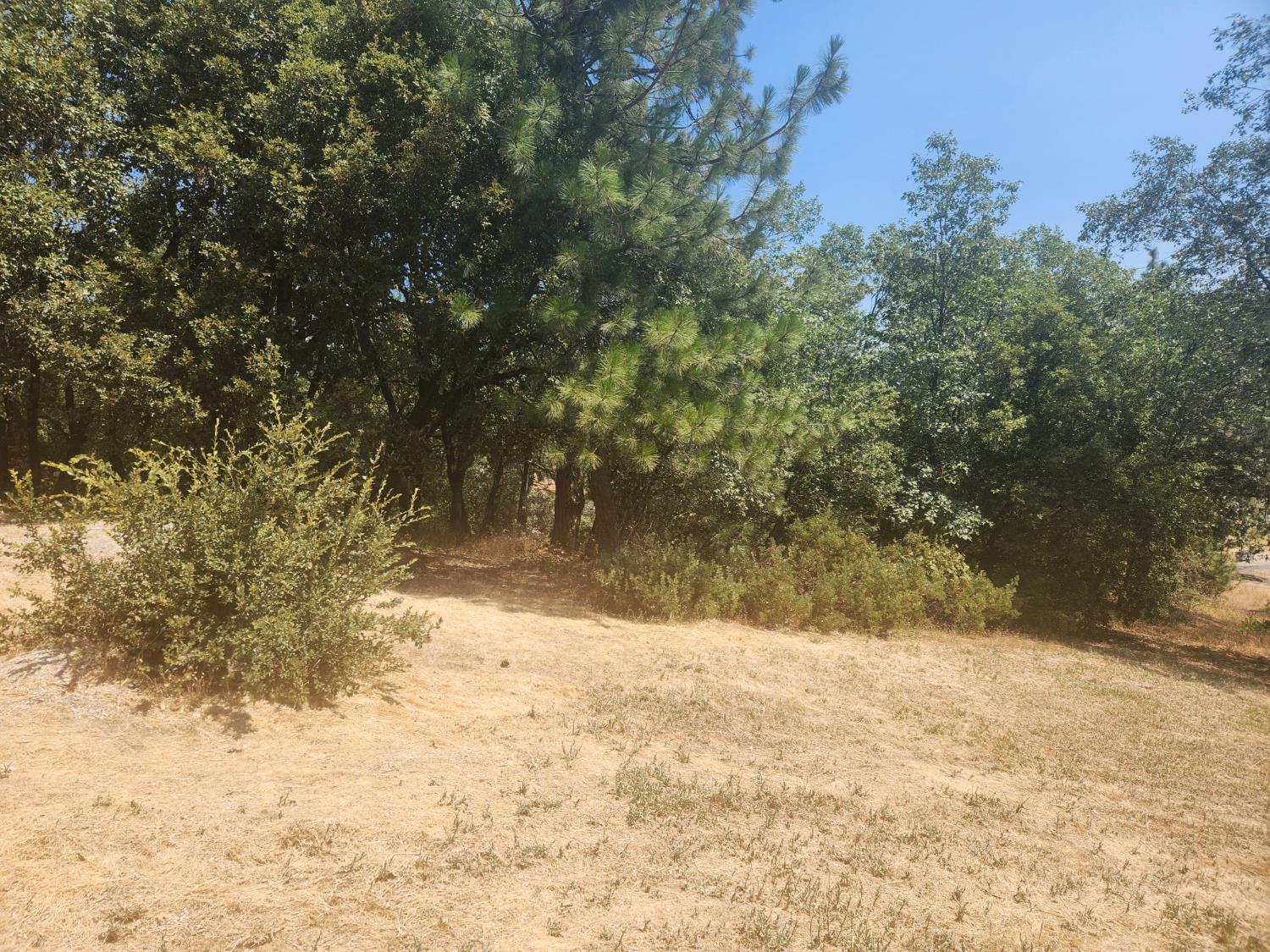1333 Highway 174 Colfax, CA 95713 - Photo 83 of 88 view of local wilderness
