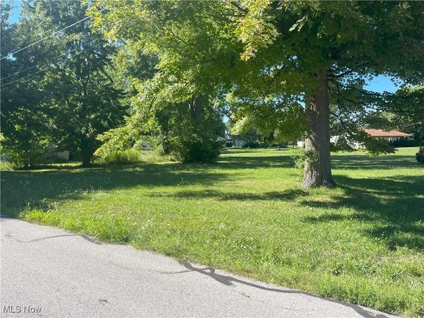 $16,500 | Fremont Avenue, Painesville, OH 44077