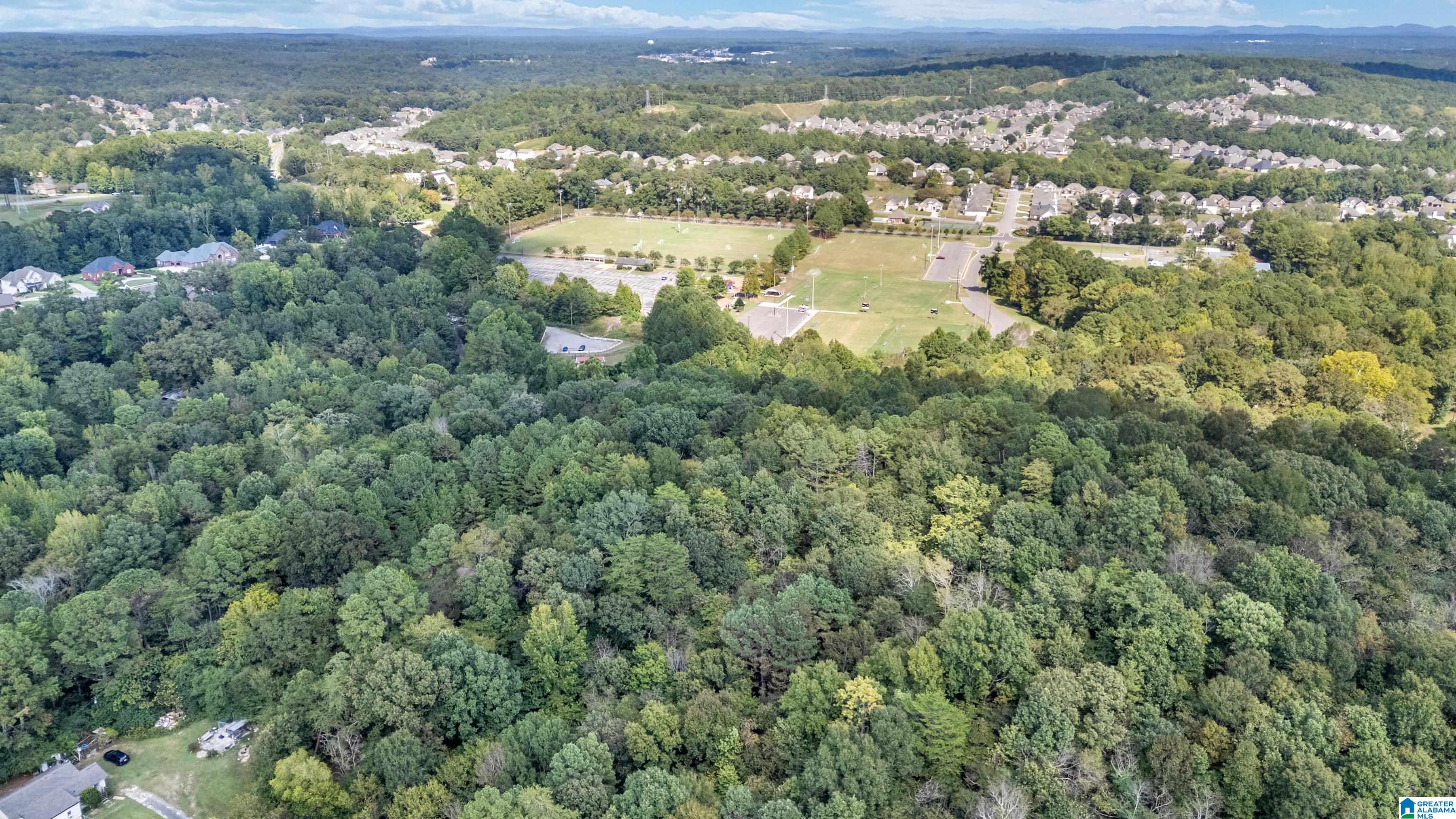 4339 Pine Ridge Road, Unit 1 Mount Olive, AL 35117 - Photo 13 of 34