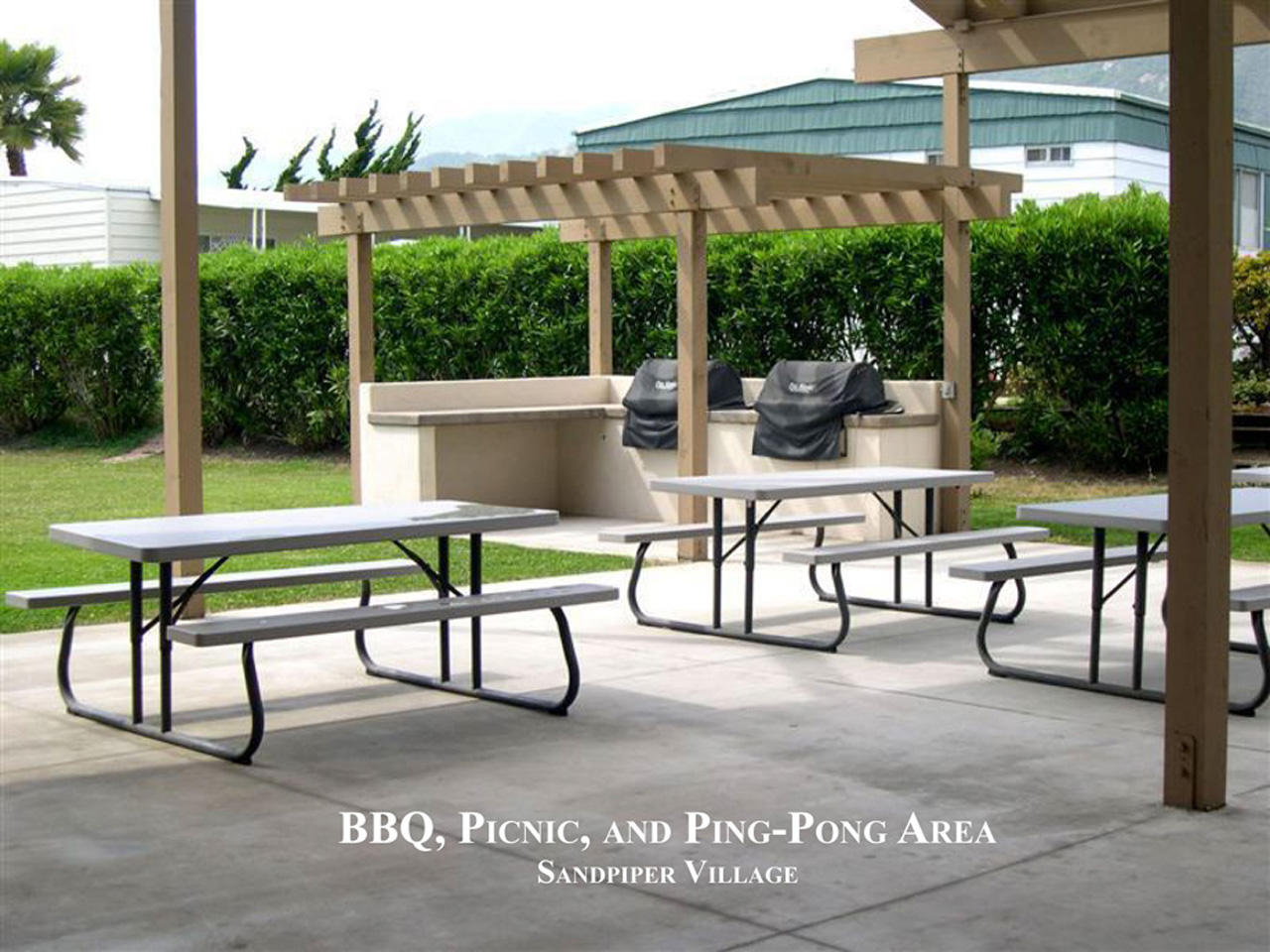 3950 Via Real, Unit SPC 256 Carpinteria, CA 93013 - Photo 15 of 25 a view of a chairs and table in patio