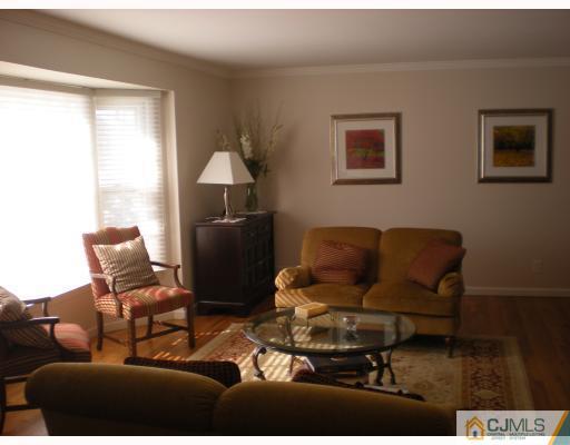33 Clive Hills Road Edison, NJ 08820 - Photo 8 of 10 a living room with furniture and a window