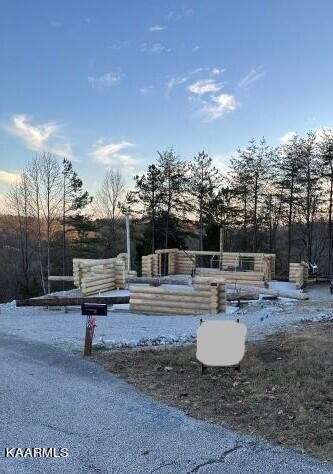 122 Flint Ridge Road Rockwood, TN 37854 - Photo 3 of 20 Gallery Image 3