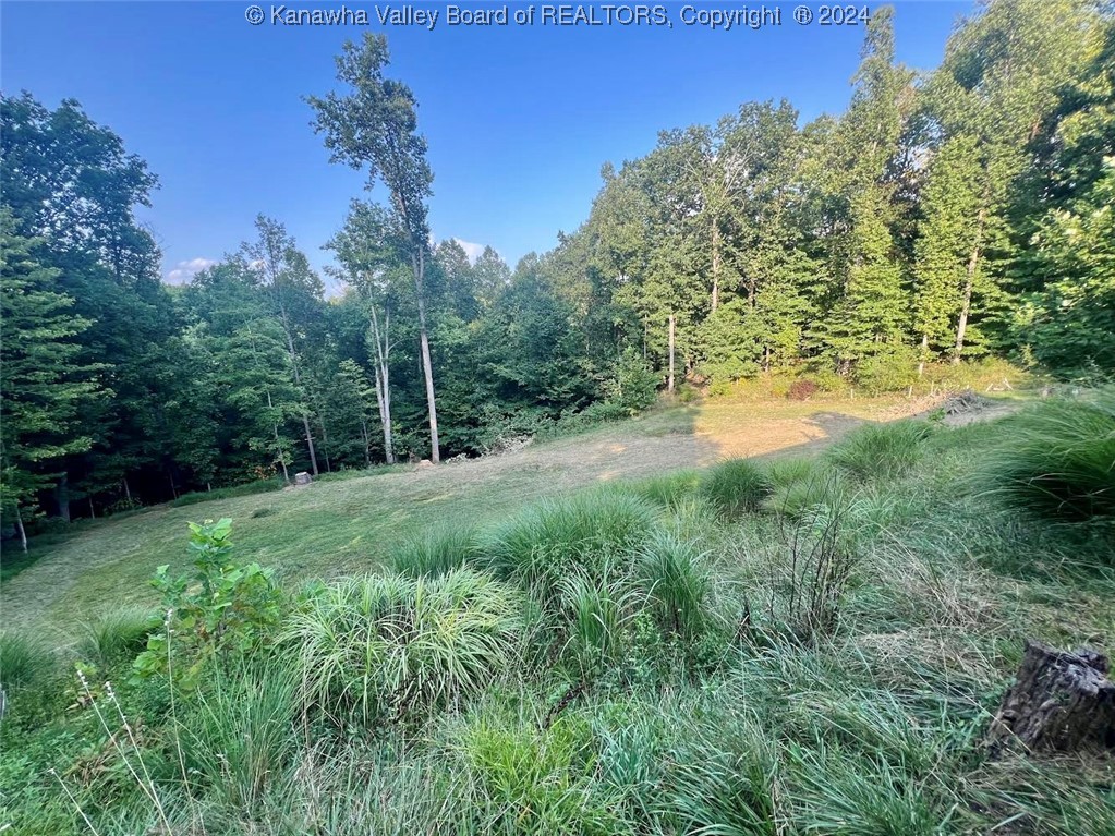 169 Poplar Drive Ripley, WV 25271 - Photo 4 of 20 Gallery Image 4