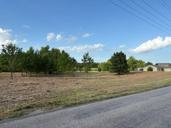 $45,000 | 0 Lavern Road, De Soto, IL 62924