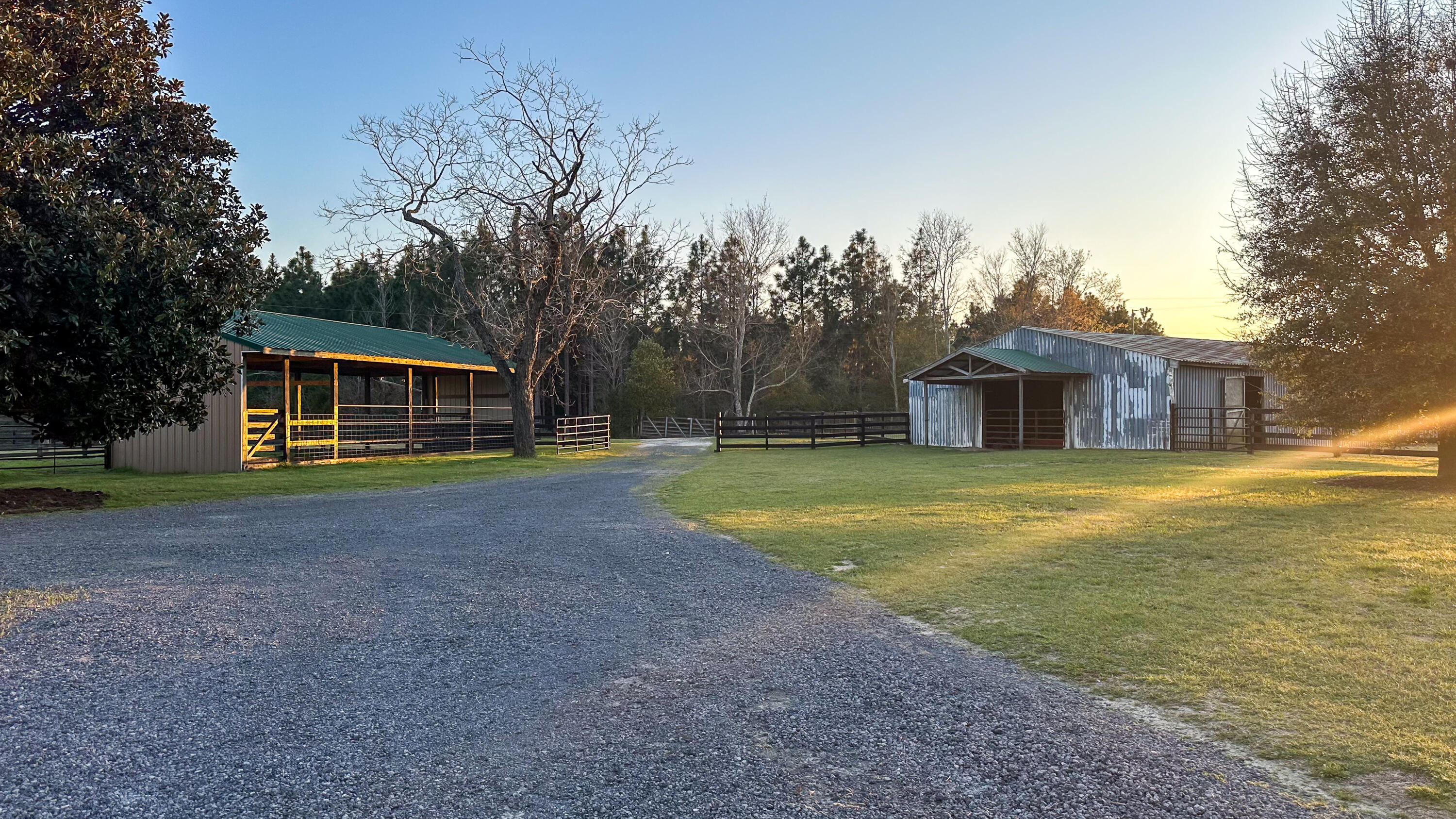968 Gunter Pond Road Wagener, SC 29164 - Photo 8 of 53