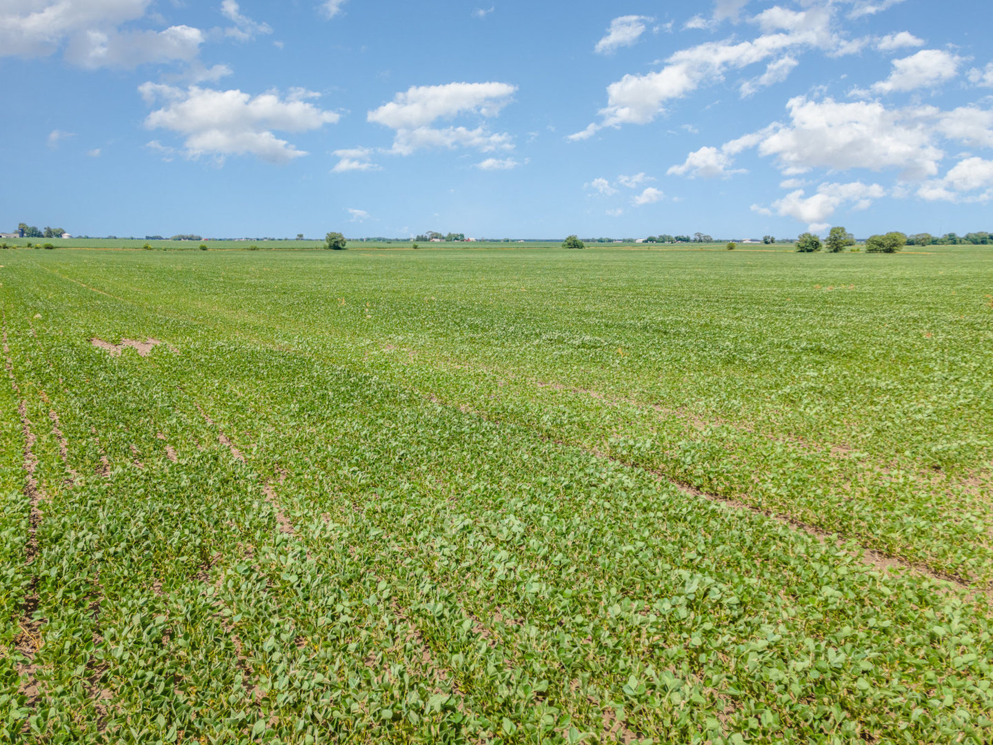 5-acres Grove Road Minooka, IL 60447 - Photo 5 of 9