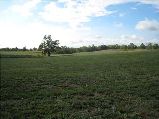 361 Figgs Store Road Shelbyville, KY 40065 - Photo 1 of 2 Primary Photo