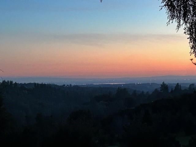 19630 Charleston Road Volcano, CA 95689 - Photo 2 of 70