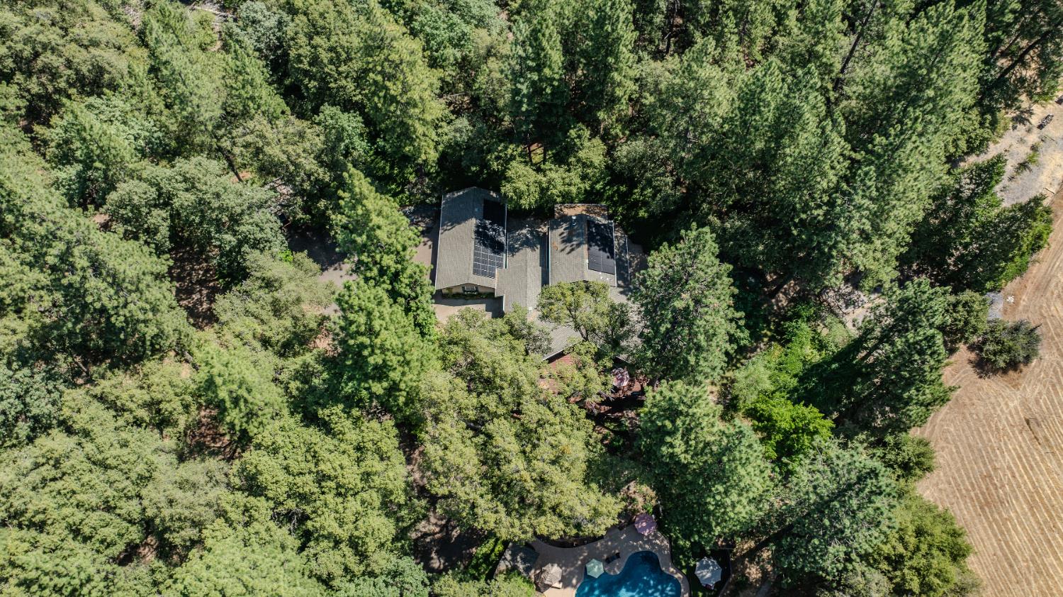 19630 Charleston Road Volcano, CA 95689 - Photo 46 of 70 an outdoor space with lots of trees