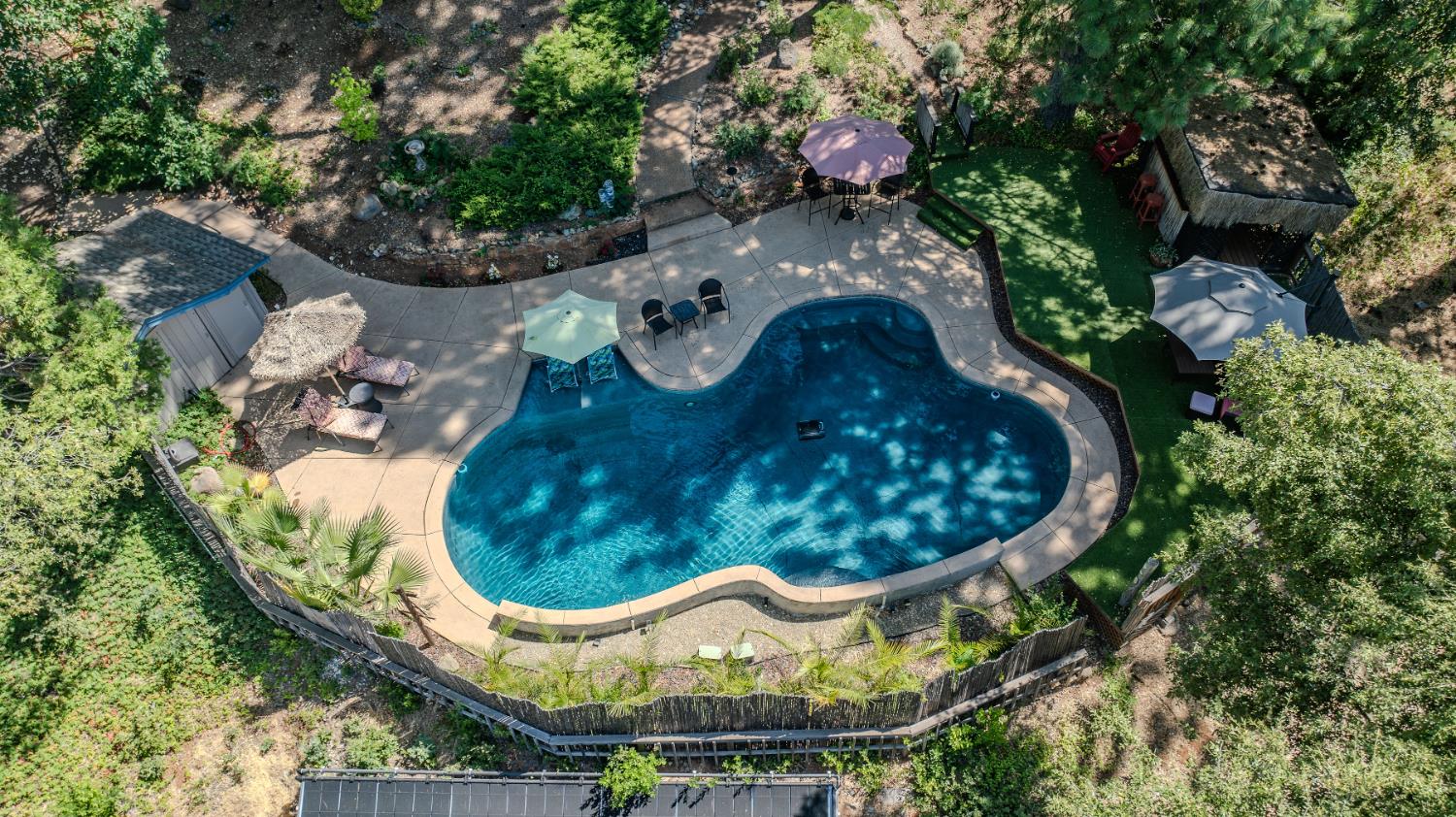 19630 Charleston Road Volcano, CA 95689 - Photo 48 of 70