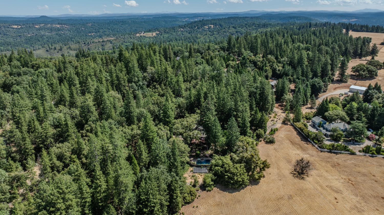 19630 Charleston Road Volcano, CA 95689 - Photo 59 of 70 a view of a green yard with large trees