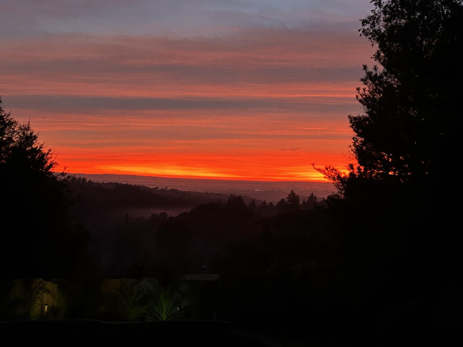 19630 Charleston Road Volcano, CA 95689 - Photo 64 of 70