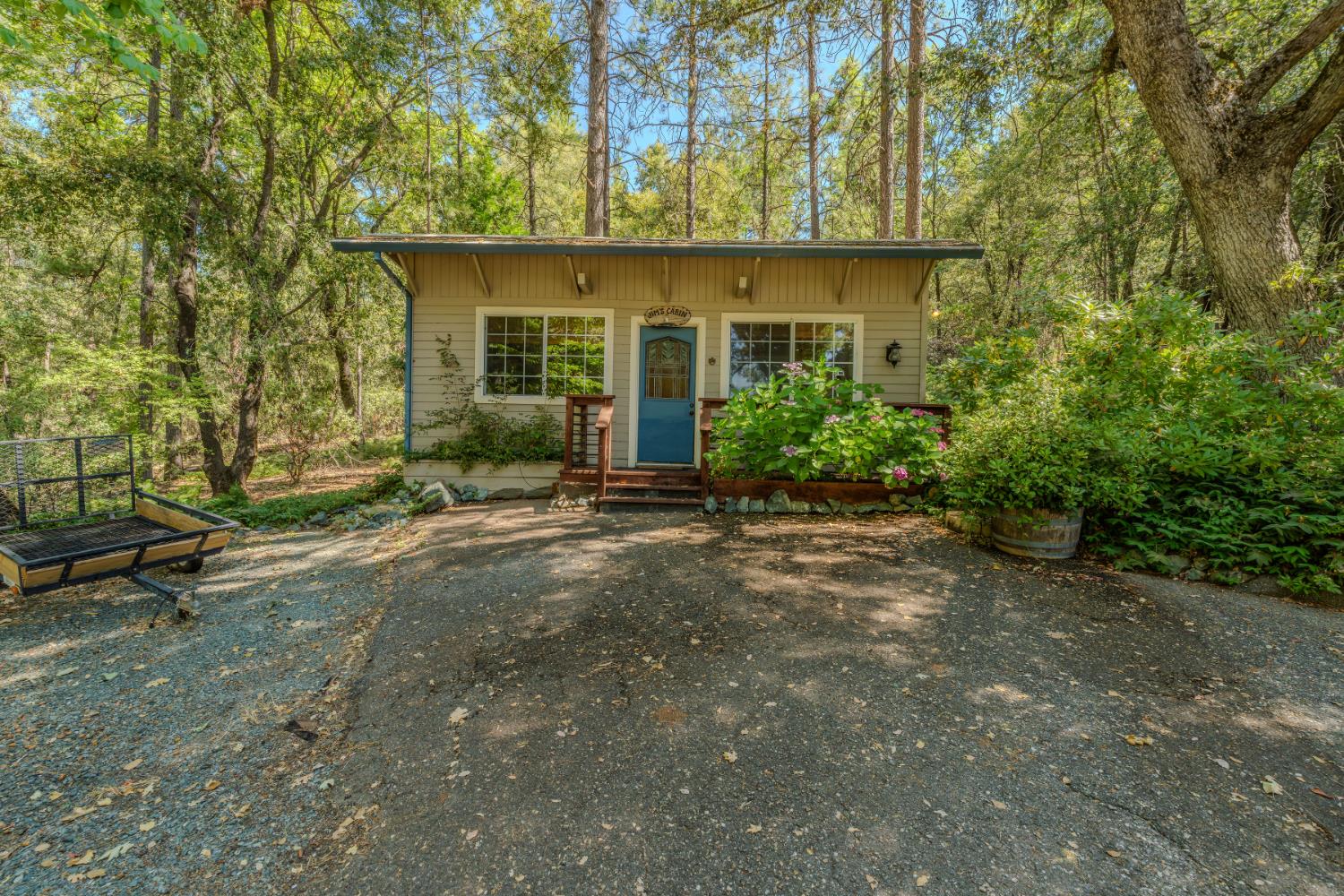 19630 Charleston Road Volcano, CA 95689 - Photo 9 of 70 a view of a house with a yard and sitting area