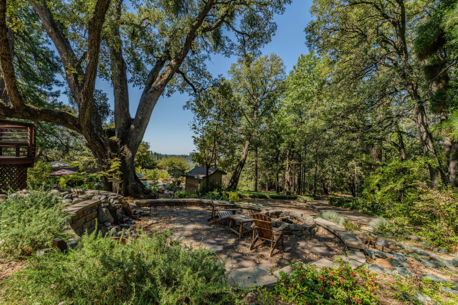 19630 Charleston Road Volcano, CA 95689 - Photo 10 of 70