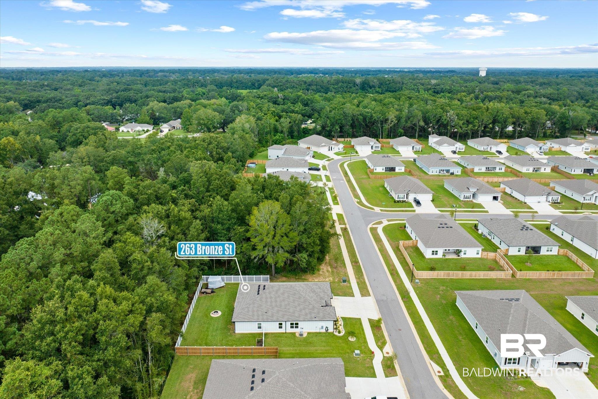 263 Bronze Street Fairhope, AL 36532 - Photo 45 of 47 Birds eye view of property