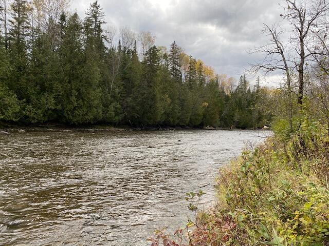 88 Madawaska Road Caribou, ME 04736 - Photo 64 of 92 88 Madawaska Road Caribou Fall 2024 (74)