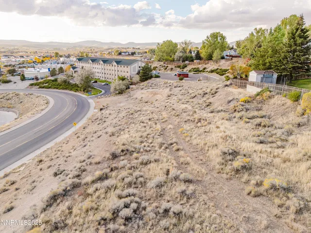 a view of a garden with a pathway