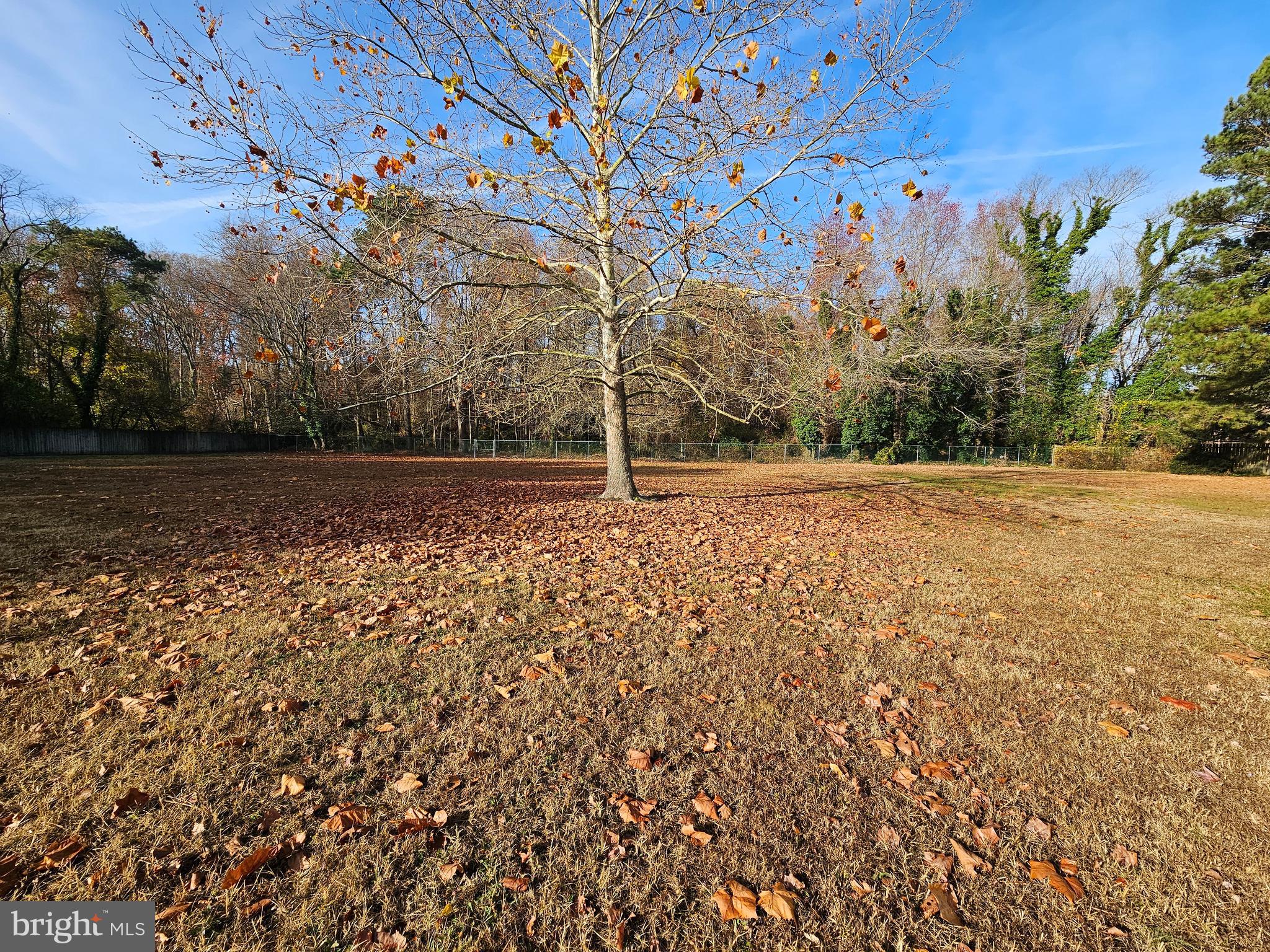 27710 Rockawalkin Ridge Road Salisbury, MD 21801 - Photo 39 of 42 Gallery Image 39