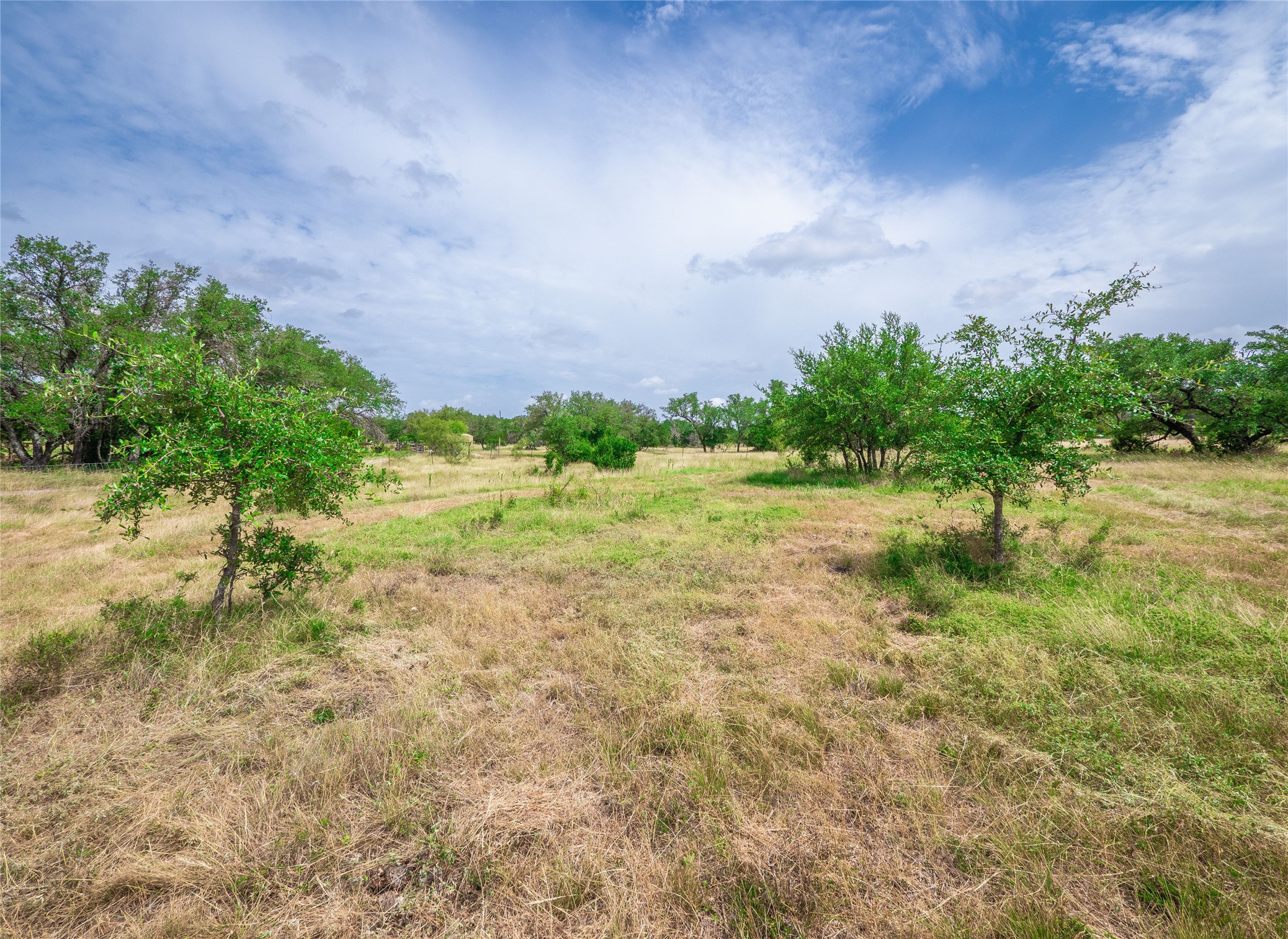 Tbd Winnie Smith Road Round Mountain, TX 78663 - Photo 8 of 30 a view of a yard with plants and a bench