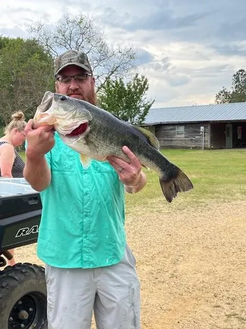 $549,950 | 77112 North River Road, Kentwood, LA 70444