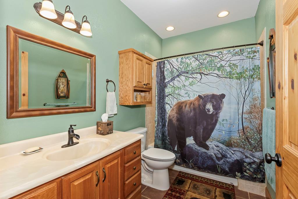 297 Lovingood Road Marble, NC 28905 - Photo 27 of 91 a bathroom with a toilet sink and mirror