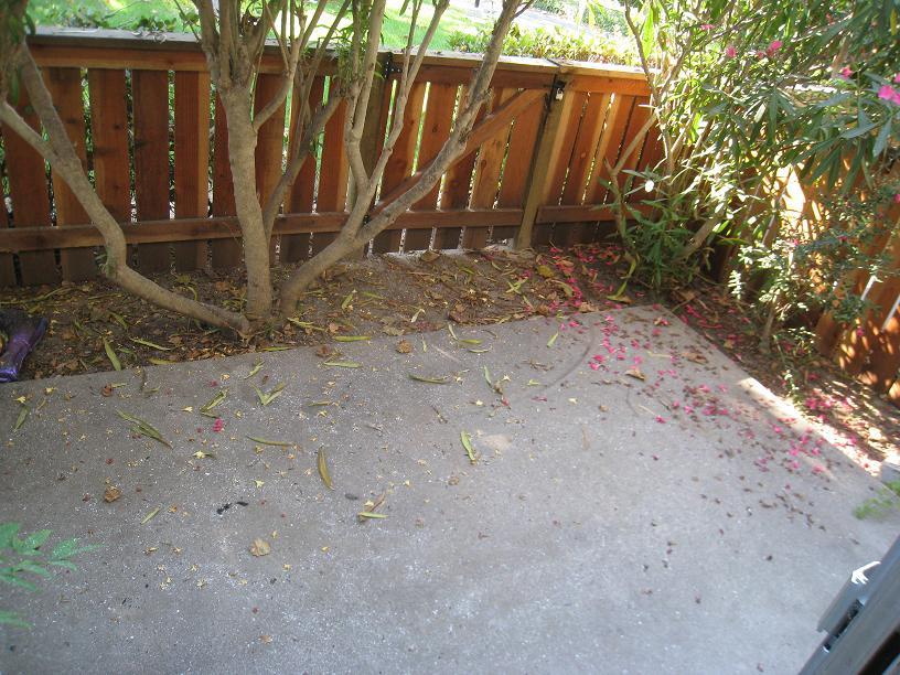 590 Mills Way Goleta, CA 93117 - Photo 5 of 5 a view of a backyard with large trees