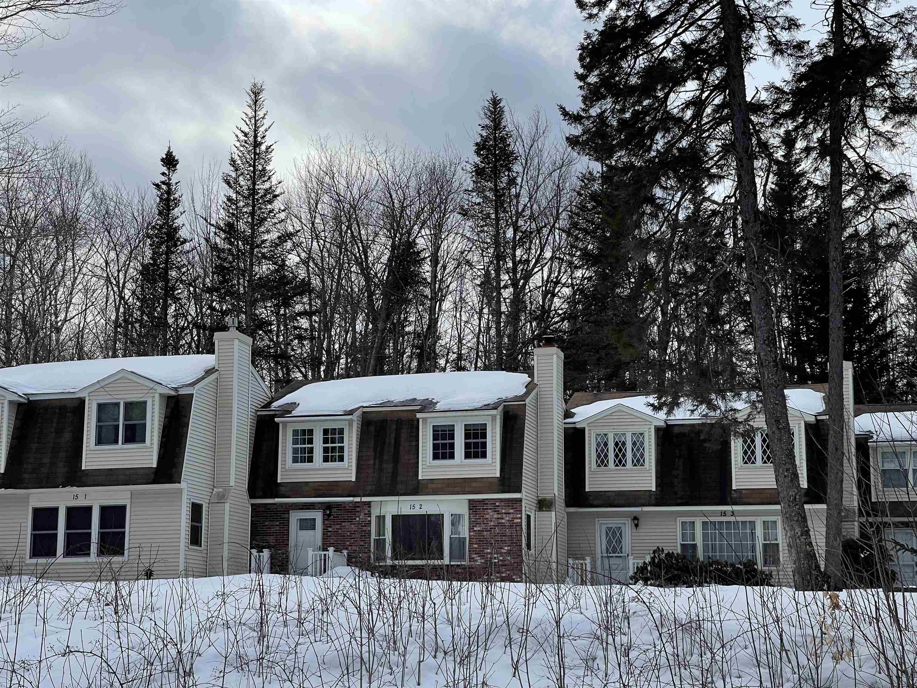 15-2 Hawthorne Way, Unit C2 Rumney, NH 03266 - Photo 1 of 33 Gallery Image 1