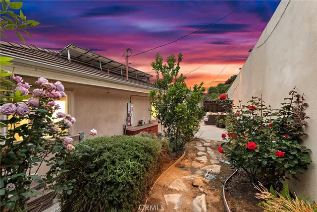 a flower plants sitting in front of a house