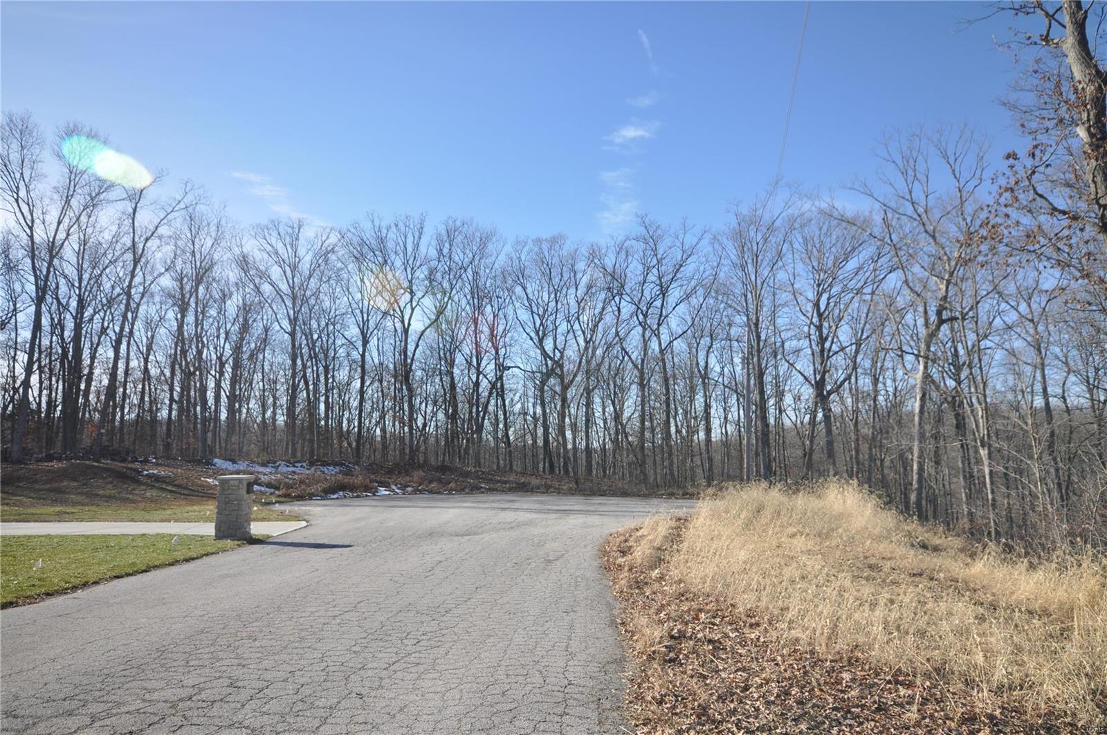 18 Callaway Ridge Court Defiance, MO 63341 - Photo 17 of 18 Gallery Image 17