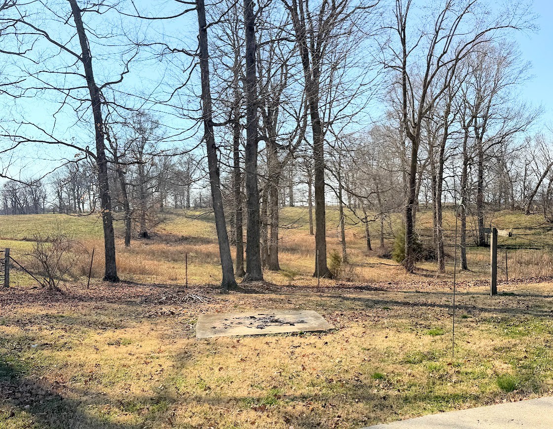 4616 Highway 76 Adams, TN 37010 - Photo 21 of 29