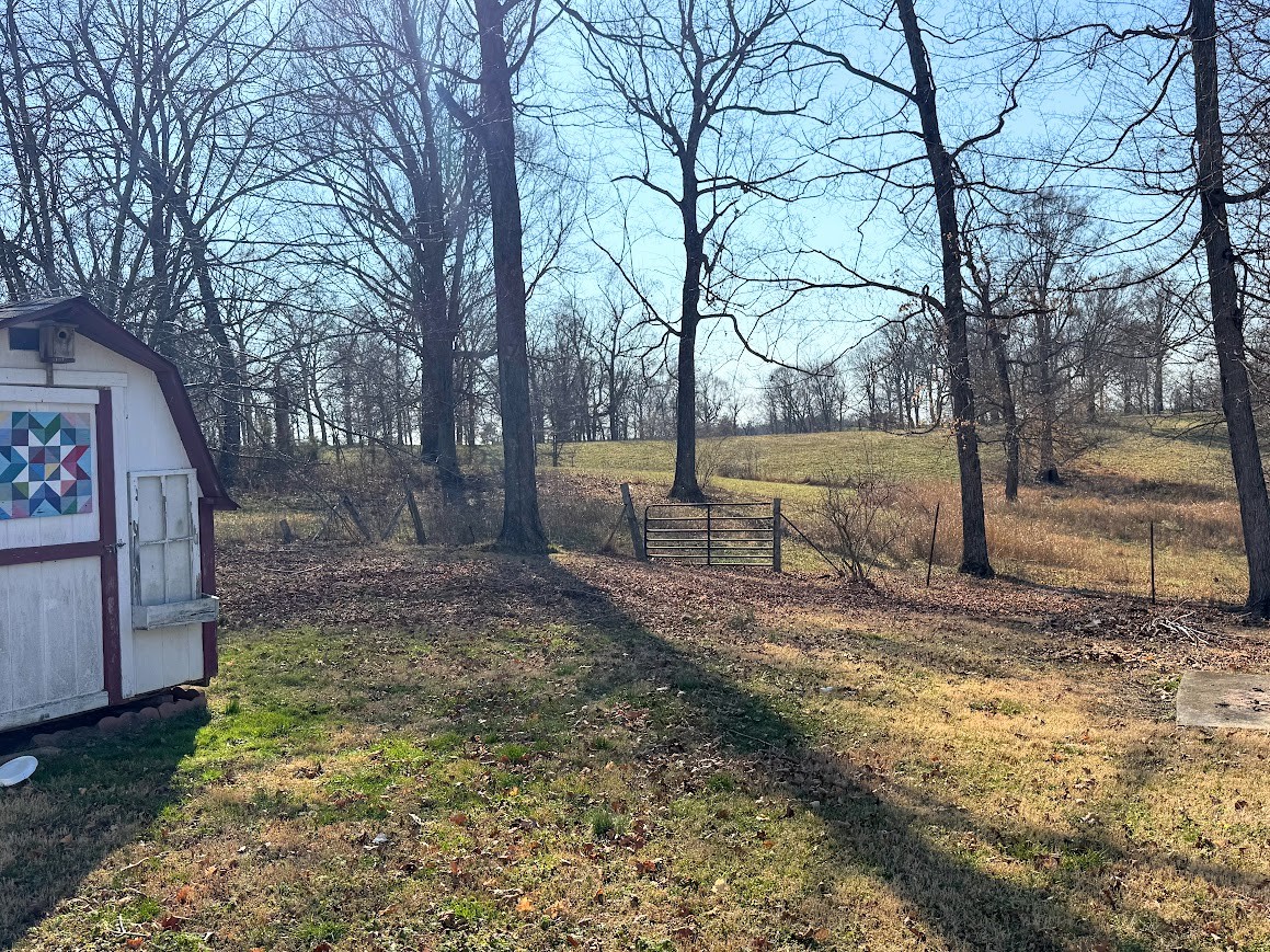4616 Highway 76 Adams, TN 37010 - Photo 22 of 29